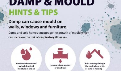News Damp And Mould
